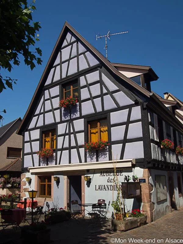 half-timbered house-bergheim