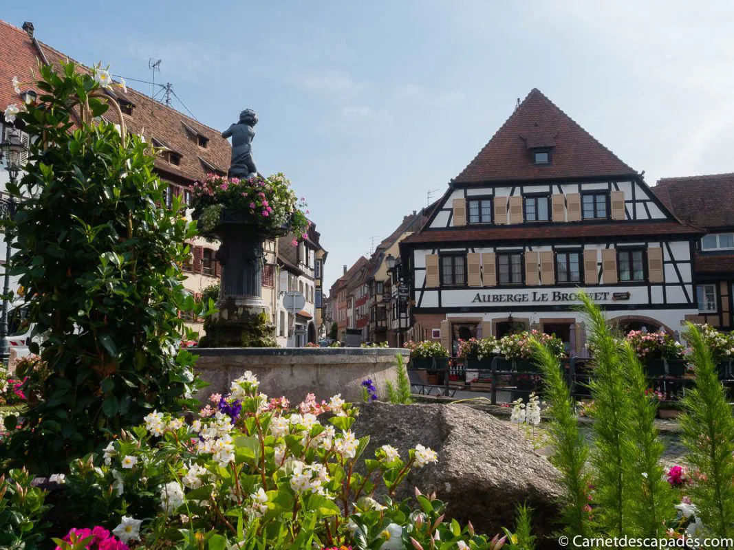 barr-route-wine-alsace